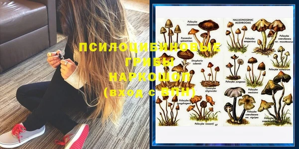 стафф Арсеньев